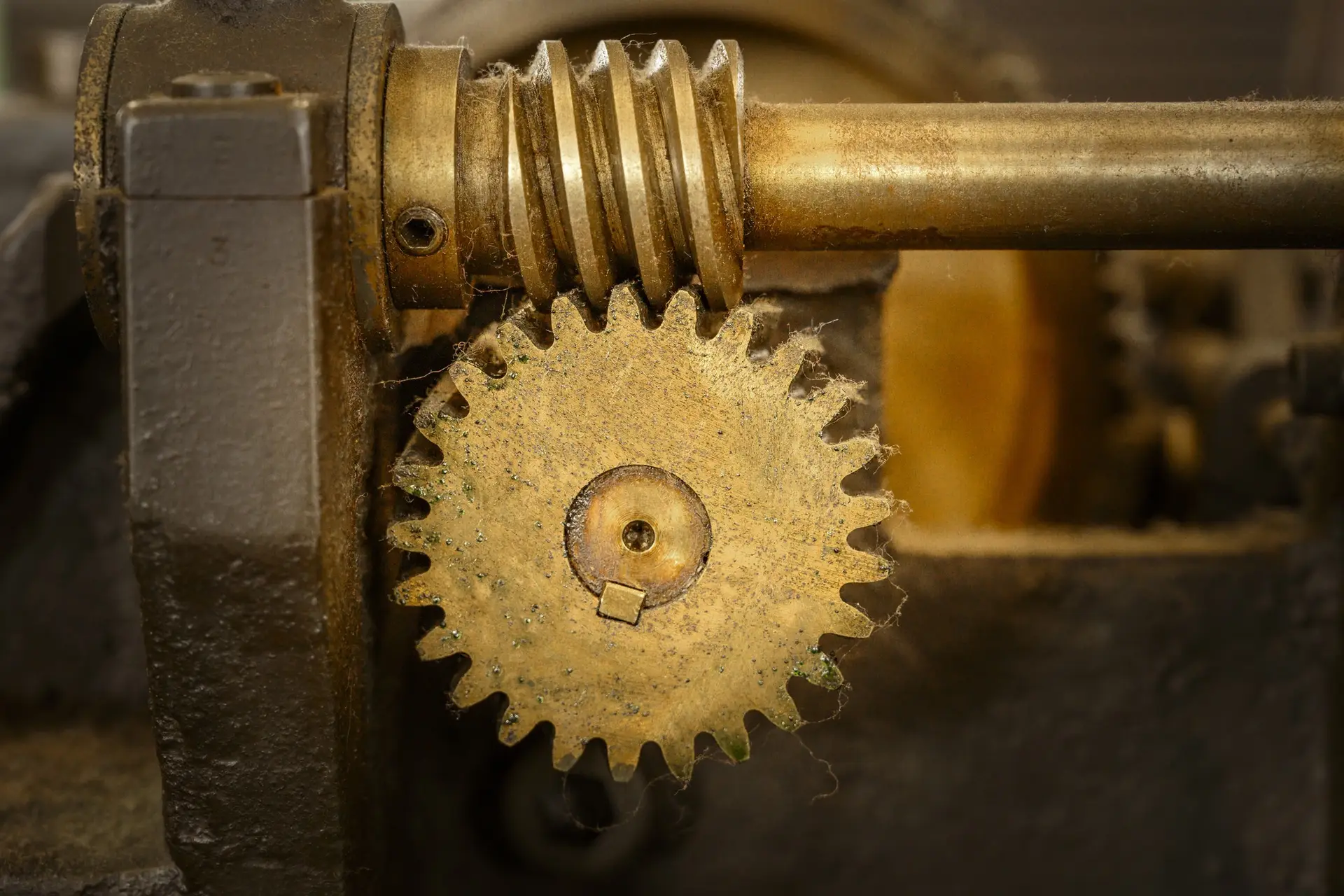 reverse engineering worm gear